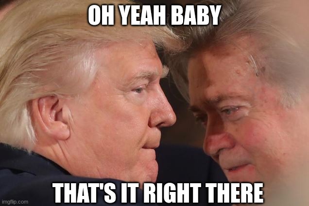 Trump Bannon Close | OH YEAH BABY THAT'S IT RIGHT THERE | image tagged in trump bannon close | made w/ Imgflip meme maker