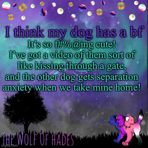 It’s so cuteee | I think my dog has a bf; It’s so f#%@ing cute!
I’ve got a video of them sort of like kissing through a gate, and the other dog gets separation anxiety when we take mine home! | image tagged in thewolfofhades announces crap v 694201723696969 | made w/ Imgflip meme maker
