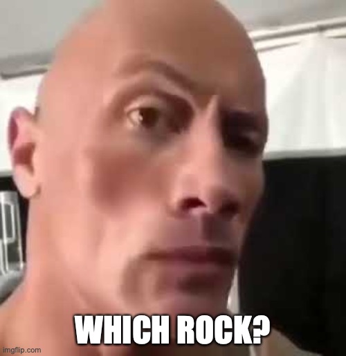 rocc | WHICH ROCK? | image tagged in the rock eyebrows | made w/ Imgflip meme maker