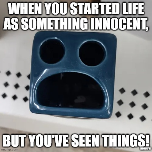 Seen things | WHEN YOU STARTED LIFE AS SOMETHING INNOCENT, BUT YOU'VE SEEN THINGS! DOC FLY'N | image tagged in funny,horror | made w/ Imgflip meme maker