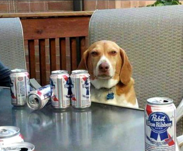 beer dog | image tagged in beer dog | made w/ Imgflip meme maker