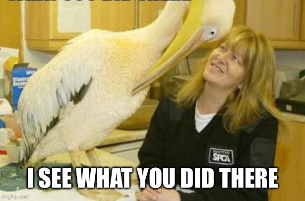 I see what you did there Pelican | I SEE WHAT YOU DID THERE | image tagged in i see what you did there pelican | made w/ Imgflip meme maker