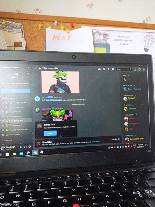 Timed out from an nft server (bad to the bone riff) - Imgflip