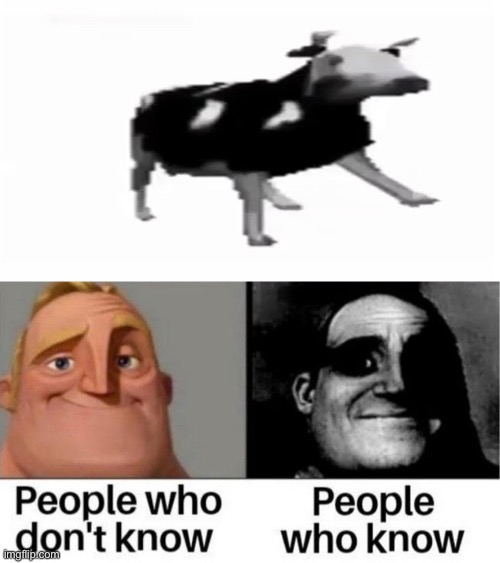 Polish Cow! .... polish cow? ohhhhh | image tagged in memes,unfunny | made w/ Imgflip meme maker