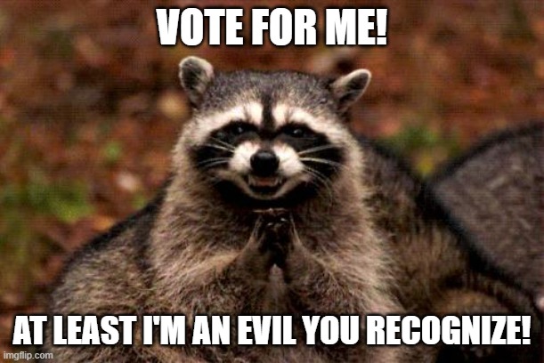At Least I'm An Evil You Recognize! | VOTE FOR ME! AT LEAST I'M AN EVIL YOU RECOGNIZE! | image tagged in memes,evil plotting raccoon | made w/ Imgflip meme maker