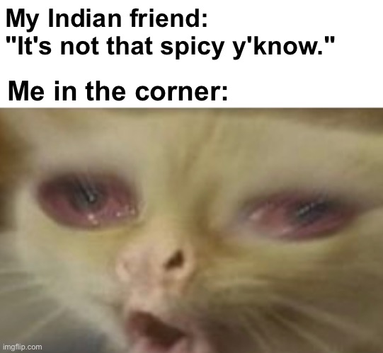 "yeah *cough cough cough* it's delicious! *dies*" |  My Indian friend: "It's not that spicy y'know."; Me in the corner: | image tagged in memes,unfunny | made w/ Imgflip meme maker