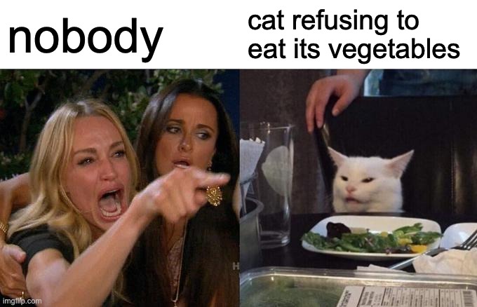 cat's don't eat vegetables | nobody; cat refusing to eat its vegetables | image tagged in memes,woman yelling at cat,cat,vegetables | made w/ Imgflip meme maker