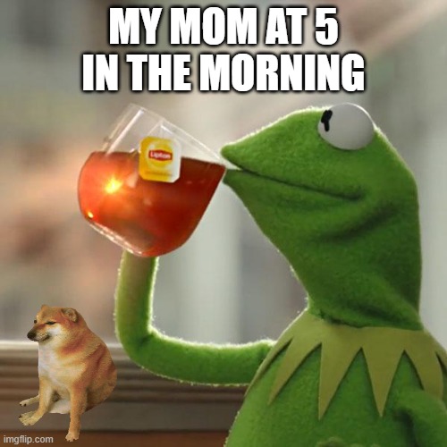 But That's None Of My Business Meme | MY MOM AT 5 IN THE MORNING | image tagged in memes,but that's none of my business,kermit the frog | made w/ Imgflip meme maker