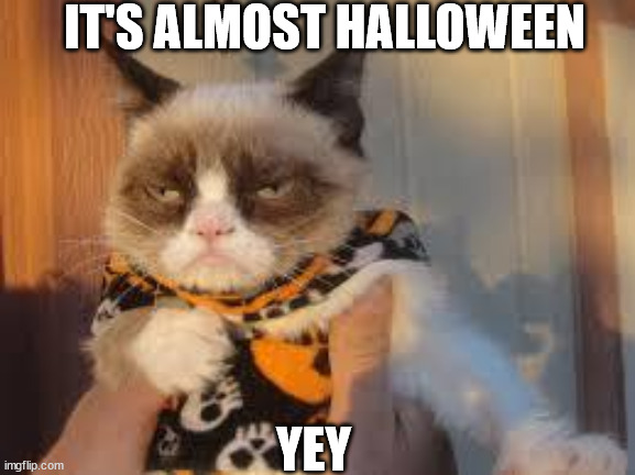 Grumpy Cat Halloween | IT'S ALMOST HALLOWEEN; YEY | image tagged in memes,grumpy cat halloween,grumpy cat | made w/ Imgflip meme maker