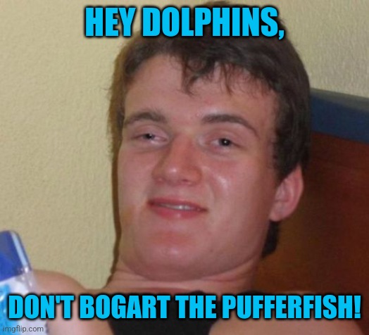 10 Guy Meme | HEY DOLPHINS, DON'T BOGART THE PUFFERFISH! | image tagged in memes,10 guy | made w/ Imgflip meme maker