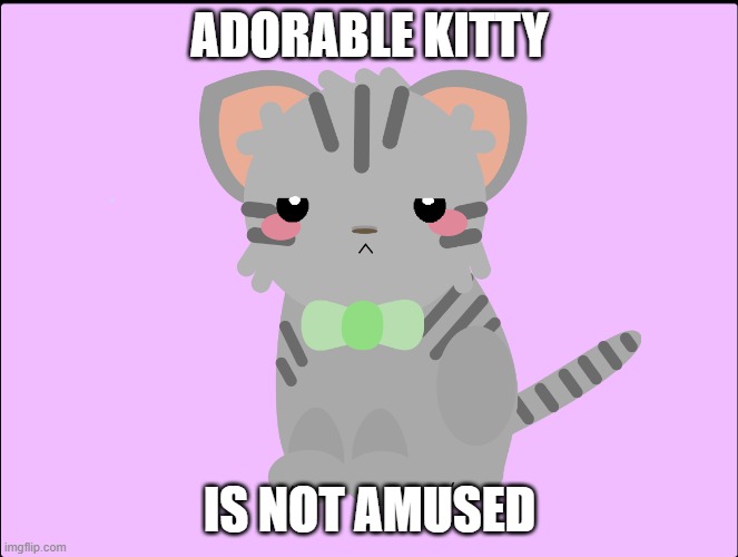 ADORABLE KITTY; IS NOT AMUSED | image tagged in lol,lol so funny,adorable,cute cat,cute | made w/ Imgflip meme maker