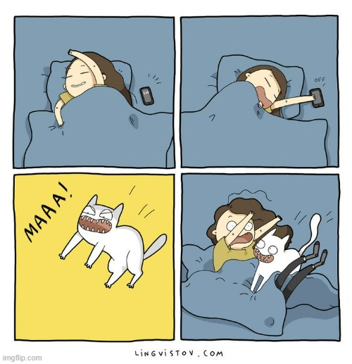 A Cat's Way Of Thinking | image tagged in memes,comics,cats,hey are you sleeping,meowbahh,wake up | made w/ Imgflip meme maker