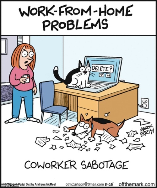 Image tagged in memes,comics,work from home,cats,dogs,helping - Imgflip