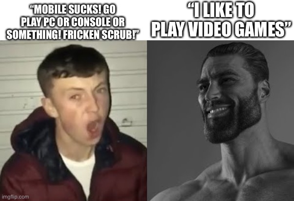 something something title | “MOBILE SUCKS! GO PLAY PC OR CONSOLE OR SOMETHING! FRICKEN SCRUB!”; “I LIKE TO PLAY VIDEO GAMES” | image tagged in average enjoyer meme | made w/ Imgflip meme maker