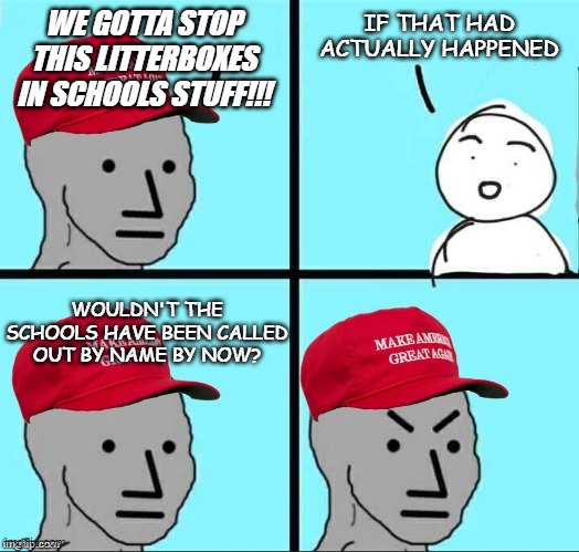 Anyone who fell for that bullsh*t is about as dumb as it gets. | WE GOTTA STOP THIS LITTERBOXES IN SCHOOLS STUFF!!! IF THAT HAD ACTUALLY HAPPENED; WOULDN'T THE SCHOOLS HAVE BEEN CALLED OUT BY NAME BY NOW? | image tagged in maga npc an an0nym0us template | made w/ Imgflip meme maker