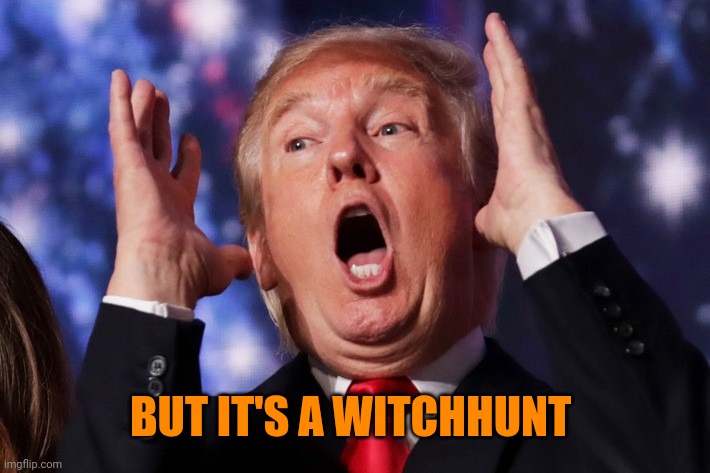 Trump crazy insane | BUT IT'S A WITCHHUNT | image tagged in trump crazy insane | made w/ Imgflip meme maker