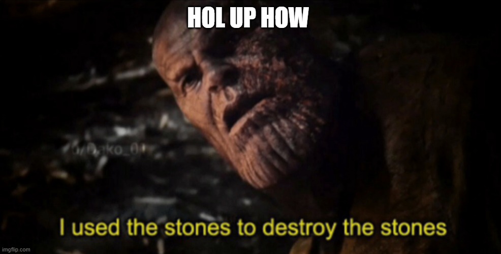 how? | HOL UP HOW | image tagged in i used the stones to destroy the stones,logic,how,brain dead,avengers endgame,sus | made w/ Imgflip meme maker