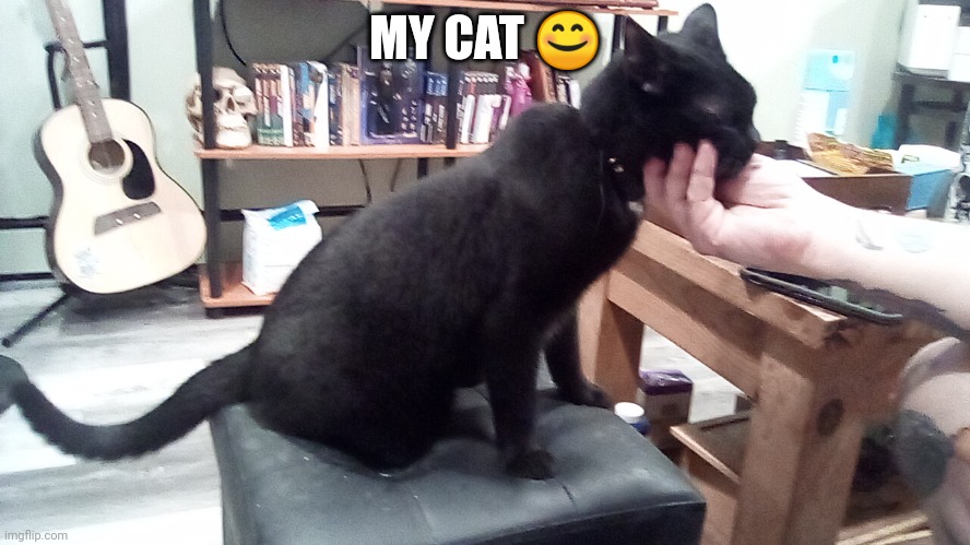 My cat! | MY CAT 😊 | image tagged in cats,animals | made w/ Imgflip meme maker