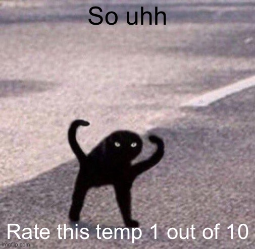 Cursed cat temp | So uhh; Rate this temp 1 out of 10 | image tagged in cursed cat temp | made w/ Imgflip meme maker