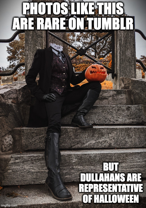 Tumblr Dullahan Costume | PHOTOS LIKE THIS ARE RARE ON TUMBLR; BUT DULLAHANS ARE REPRESENTATIVE OF HALLOWEEN | image tagged in dullahan,memes | made w/ Imgflip meme maker
