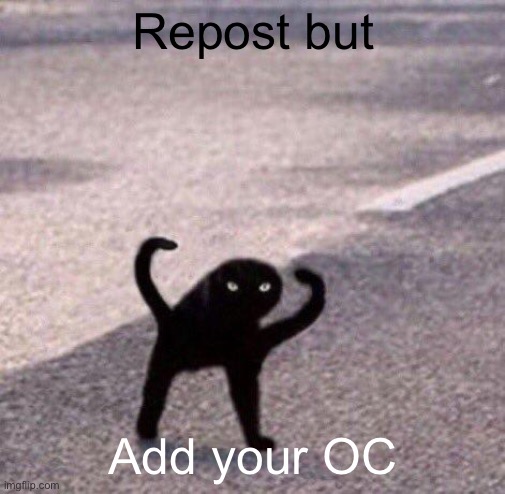 Cursed cat temp | Repost but; Add your OC | image tagged in cursed cat temp | made w/ Imgflip meme maker