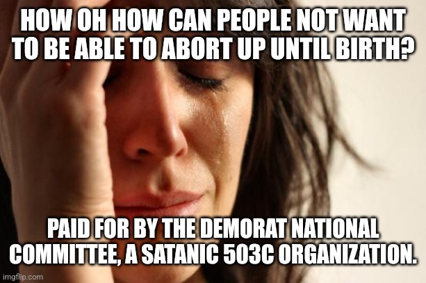 Abortion is Murder |  HOW OH HOW CAN PEOPLE NOT WANT TO BE ABLE TO ABORT UP UNTIL BIRTH? PAID FOR BY THE DEMORAT NATIONAL COMMITTEE, A SATANIC 503C ORGANIZATION. | image tagged in abortion is murder,stupid liberals,dnc,democrats,stop,god | made w/ Imgflip meme maker