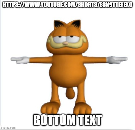 https://www.youtube.com/shorts/E8N9TtEFex0 | HTTPS://WWW.YOUTUBE.COM/SHORTS/E8N9TTEFEX0; BOTTOM TEXT | image tagged in garfield t-pose | made w/ Imgflip meme maker