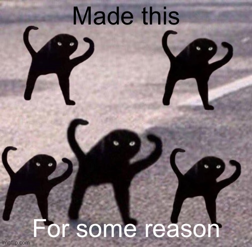 Cursed cat temp | Made this; For some reason | image tagged in cursed cat temp | made w/ Imgflip meme maker