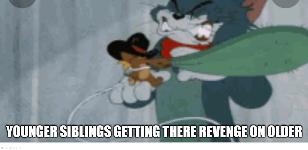 That's how it be like sometimes | YOUNGER SIBLINGS GETTING THERE REVENGE ON OLDER | image tagged in funny memes,tom and jerry | made w/ Imgflip meme maker
