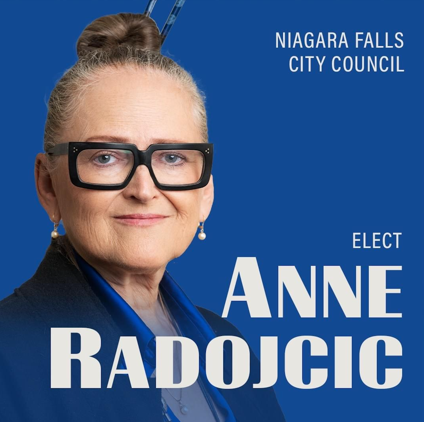 Anne Radojcic for Niagara Falls City Council Blank Meme Template