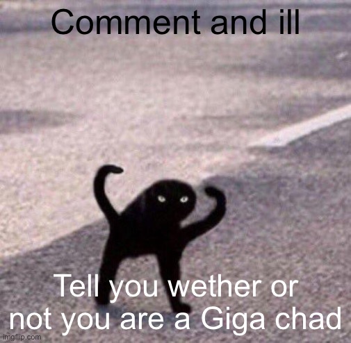 Cursed cat temp | Comment and ill; Tell you wether or not you are a Giga chad | image tagged in cursed cat temp | made w/ Imgflip meme maker