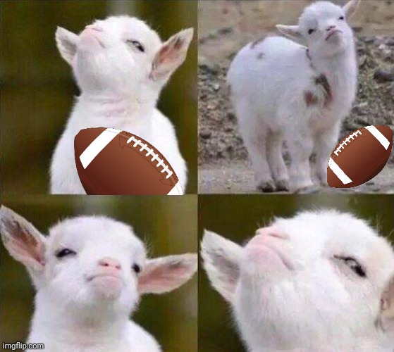 Smug Goat | image tagged in smug goat | made w/ Imgflip meme maker