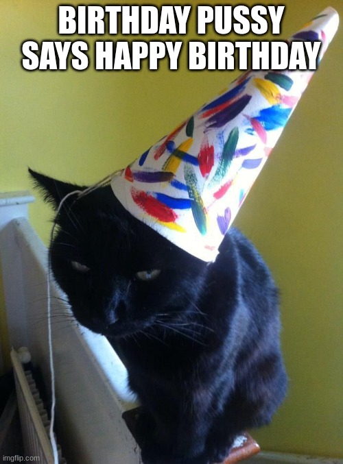 cat party hat | BIRTHDAY PUSSY SAYS HAPPY BIRTHDAY | image tagged in cat party hat | made w/ Imgflip meme maker