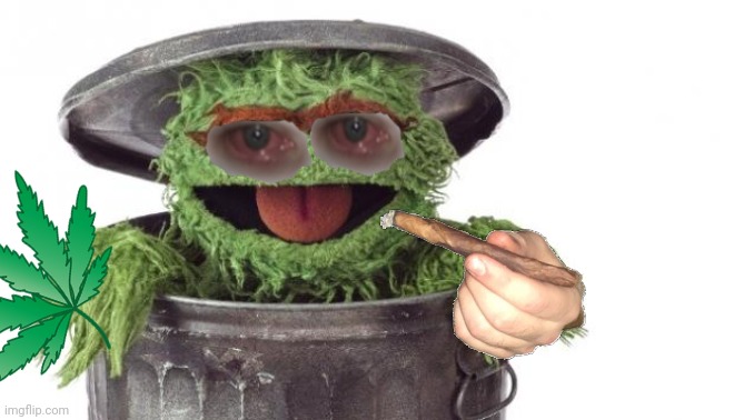 Oscar trashcan Sesame street | image tagged in oscar trashcan sesame street | made w/ Imgflip meme maker
