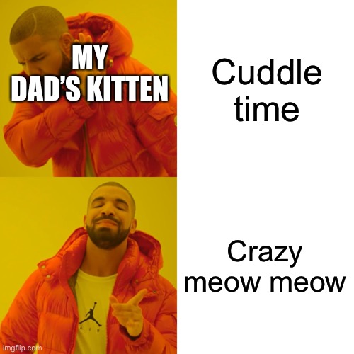 Crazy kitten | Cuddle time; MY DAD’S KITTEN; Crazy meow meow | image tagged in memes,drake hotline bling | made w/ Imgflip meme maker