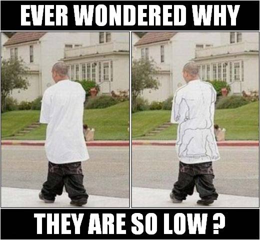 Stupid Fashion Statement ! | EVER WONDERED WHY; THEY ARE SO LOW ? | image tagged in fun,trousers,pants,fashion | made w/ Imgflip meme maker