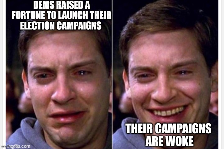 Crying | DEMS RAISED A FORTUNE TO LAUNCH THEIR ELECTION CAMPAIGNS; THEIR CAMPAIGNS
 ARE WOKE | image tagged in crying,funny memes | made w/ Imgflip meme maker