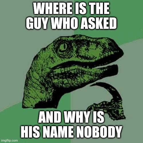 Philosoraptor Meme | WHERE IS THE GUY WHO ASKED; AND WHY IS HIS NAME NOBODY | image tagged in memes,philosoraptor | made w/ Imgflip meme maker