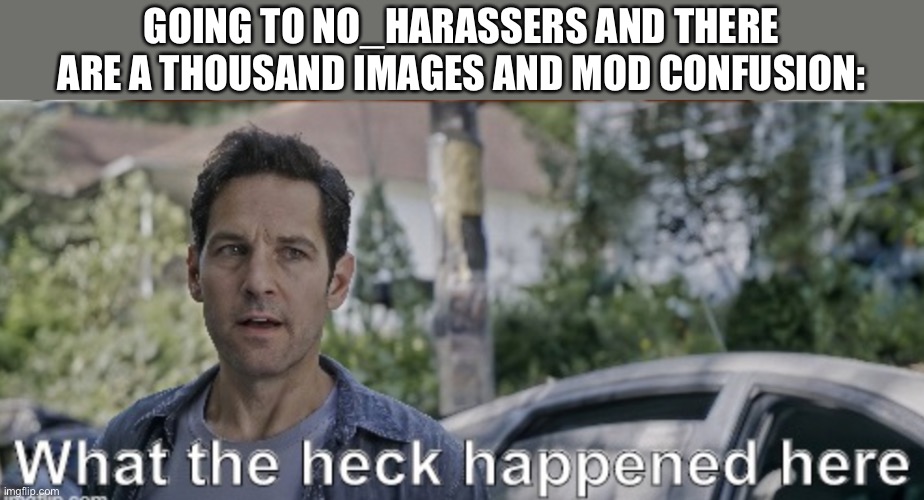 WHY DOES BLOOKGAMING HAVE MOD AND GNIBJR WHY DID YOU GIVE IT BACK????? | GOING TO NO_HARASSERS AND THERE ARE A THOUSAND IMAGES AND MOD CONFUSION: | image tagged in antman what the heck happened here | made w/ Imgflip meme maker