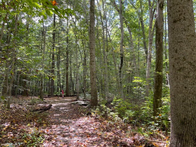 a trail | made w/ Imgflip meme maker