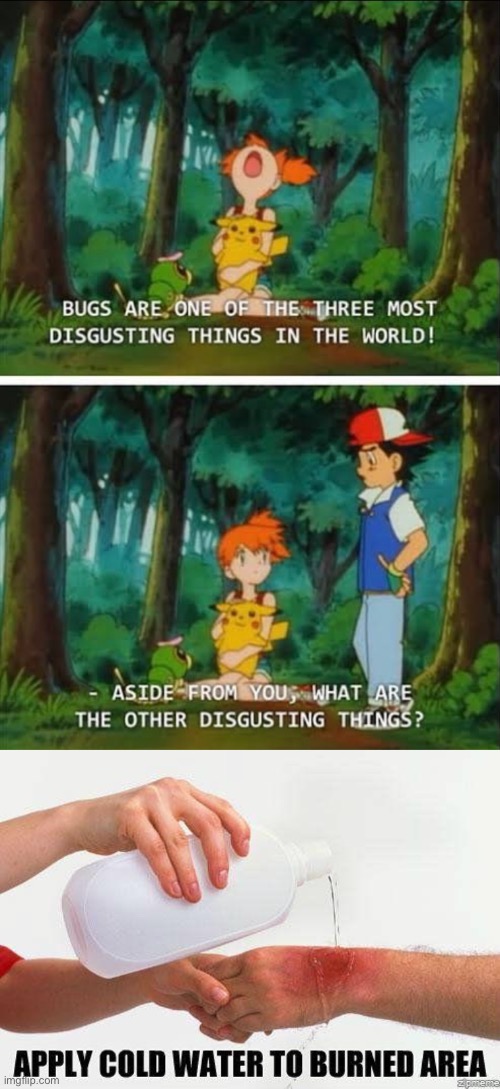 Ash is savage | image tagged in apply cold water to burned area | made w/ Imgflip meme maker