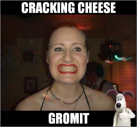 A Weird Smile ! | CRACKING CHEESE; GROMIT | image tagged in weird,smile,wallace and gromit | made w/ Imgflip meme maker
