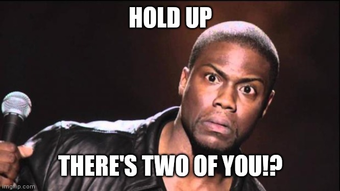 Kevin Hart | HOLD UP; THERE'S TWO OF YOU!? | image tagged in kevin hart | made w/ Imgflip meme maker