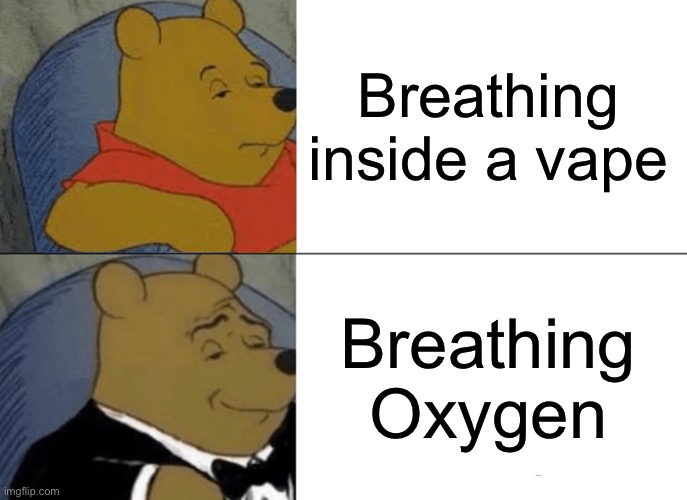 Oxygen: The best flavor ? | Breathing inside a vape; Breathing Oxygen | image tagged in memes,tuxedo winnie the pooh | made w/ Imgflip meme maker