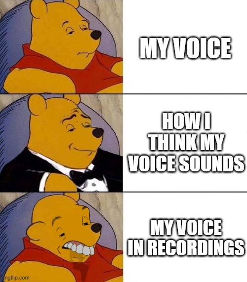 Either it's my voice or the app | MY VOICE; HOW I THINK MY VOICE SOUNDS; MY VOICE IN RECORDINGS | image tagged in best better blurst,voice,memes,fun | made w/ Imgflip meme maker