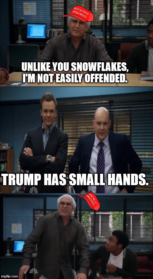 MAGA Snowflake | UNLIKE YOU SNOWFLAKES, I'M NOT EASILY OFFENDED. TRUMP HAS SMALL HANDS. | image tagged in maga snowflake | made w/ Imgflip meme maker