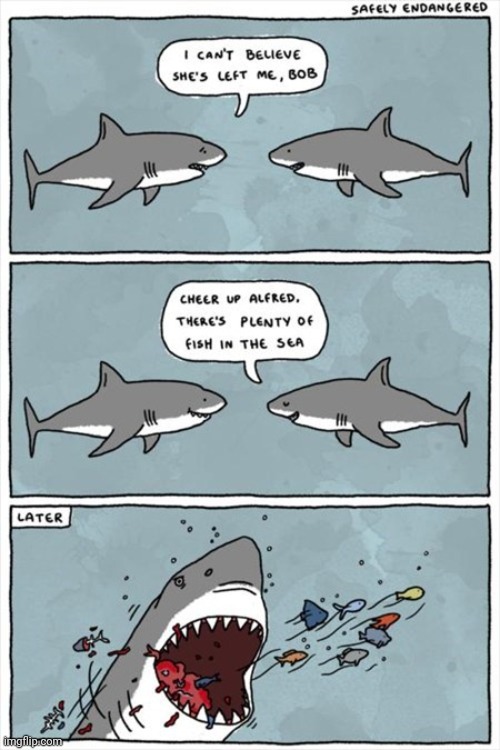 Fish | image tagged in shark,fish,fishes,comics,comics/cartoons,comic | made w/ Imgflip meme maker
