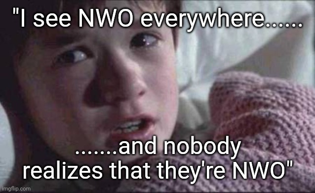I See Dead People Meme | "I see NWO everywhere...... .......and nobody realizes that they're NWO" | image tagged in memes,i see dead people | made w/ Imgflip meme maker