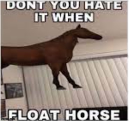 Float horse >:( | image tagged in float horse | made w/ Imgflip meme maker