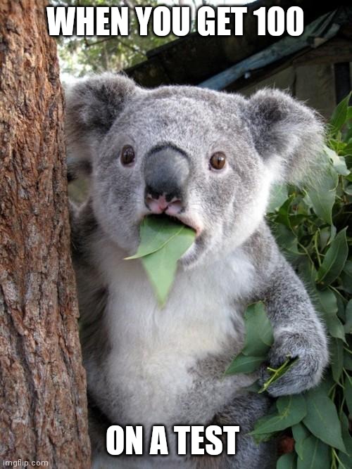 Surprised Koala Meme | WHEN YOU GET 100; ON A TEST | image tagged in memes,surprised koala | made w/ Imgflip meme maker